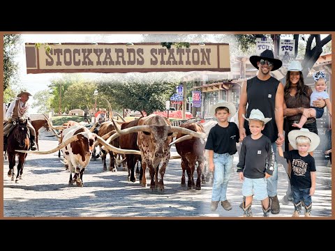 Little Cowboys at Texas Cattle Drive! FORT WORTH, STOCKYARDS/RODEO/CHAMPIONSHIP/TOYS/LONGHORN/BULLS