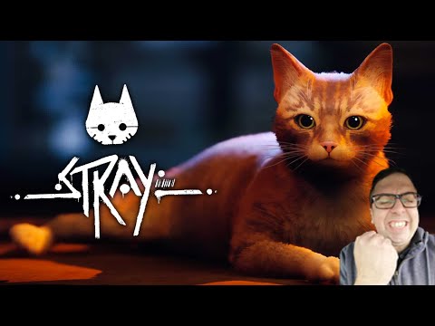 Stray winning best debut indie game REACTION @ Game Awards 2022