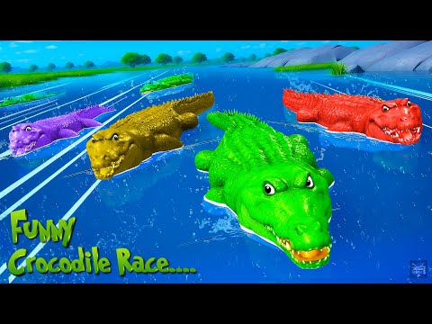 Color Crocodiles Epic Race Challenge - Funny Animals Compilation