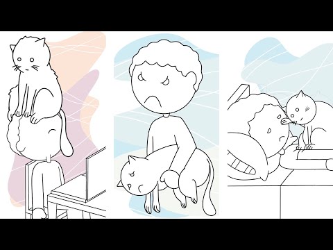 Some Cat Owner Problems - Compilation 1 #meow #cat #memes #animation