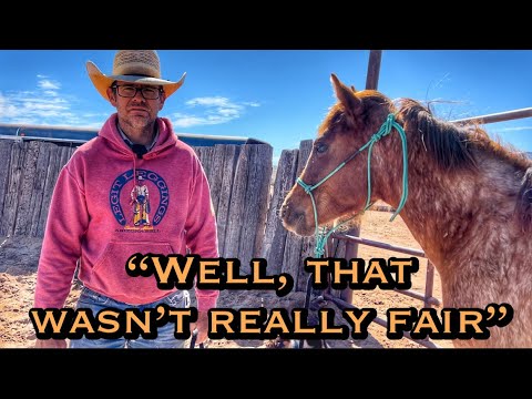 YEARLING round pen work w/colt starter HENSON WINN