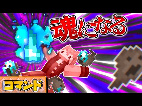 【スイッチ対応】超簡単！魂になれるコマンド！【マイクラコマンド】