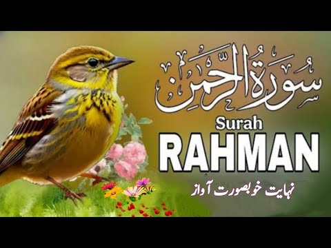 World's most beautiful recitation of Surah Ar-Rahman Episode 719 | Bazm e Quran