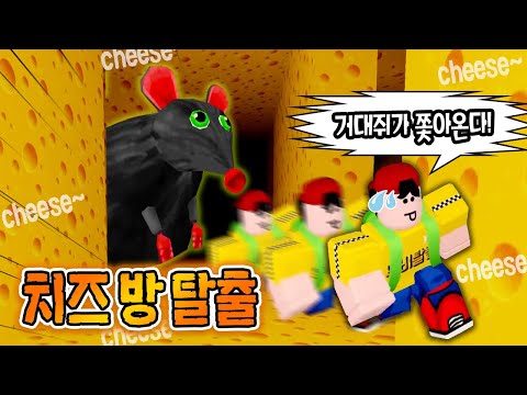 거대쥐를 피해 치즈방을 탈출하라! 치즈 이스케이프 호러 게임 [로블록스]