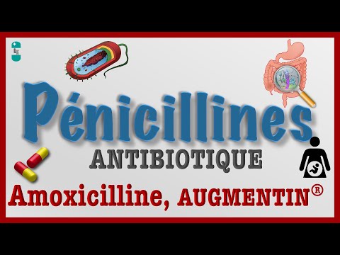 Les Pénicillines - TOUT Savoir : Antibiotiques AMOXICILINE, AUGMENTIN, Pharmacologie et Toxicité