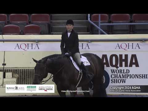 Select Hunter Under Saddle - 2024 AQHA World Championship Show