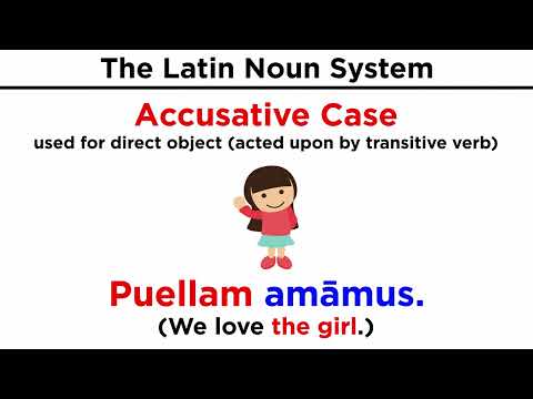 The Latin Noun System