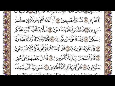 سورة القلم مكتوبة / سعود الشريم