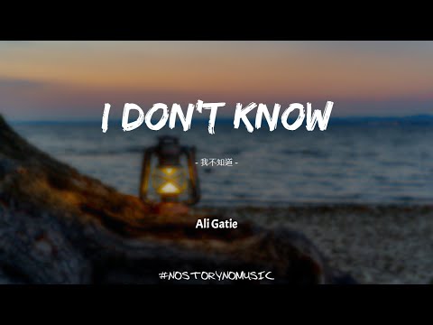 Ali Gatie - I Don't Know 我不知道｜我愛過你，我一直愛著你。我最大的遺憾是我從來沒有讓你知道。｜ 中英動態歌詞 Lyrics