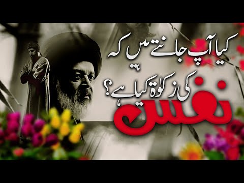 NAFS KI ZAKAT KIA HAI? | YUNUS EMRE - RAH-E-ISHQ | TAPDUK EMRE | Mukhtasar Maloomat