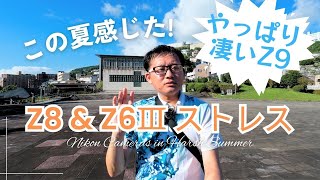 【過酷な夏】Nikon Z8とZ6Ⅲで撮影仕事現場で感じたストレス