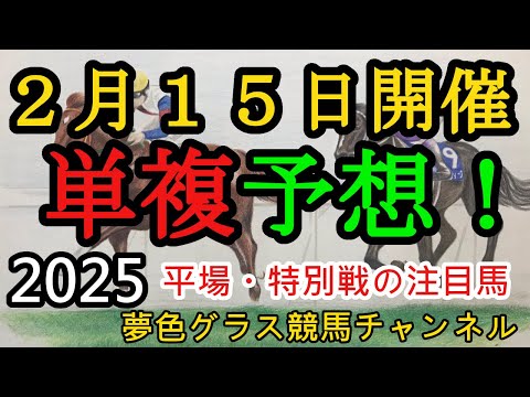 【単複平場予想】2025年2月15日JRA平場特別戦！洛陽ステークスの穴馬など妙味ある馬を狙っていくコーナー！平場・特別戦を楽しむ12頭！