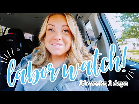 LABOR WATCH! - 36 Weeks 3 Days