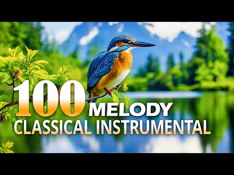 The World's Best Classical Instrumental Music - Elegant Relaxing Music