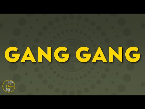 JACKBOYS - GANG GANG (Lyrics) feat. Sheck Wes, Don Toliver, Luxury Tax 50 & Cactus Jack