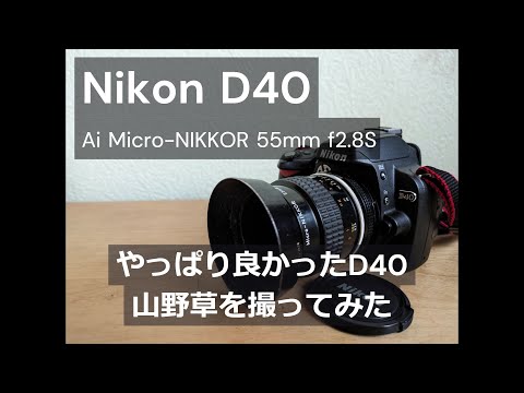 Nikon D40｜Ai Micro-NIKKOR 55mm f/2.8S｜山野草を撮ってみた