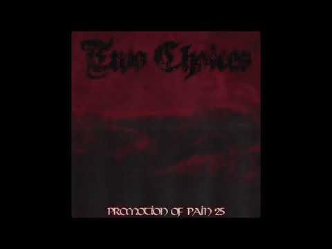 Two Choices - Promotion Of Pain 2025 (Full Stream)