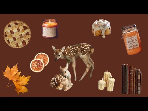 ✎ᝰ. pov: you’re a fawn in an autumn forrest (cozy fall piano playlist) ༄˖°.🍂.ೃ࿔*:･