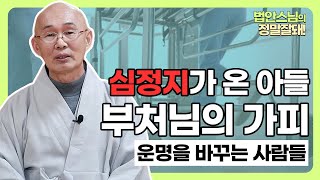 [#클립] "심정지가 온 아들을 살려주신 부처님의 가피" #법안스님의정말잘돼