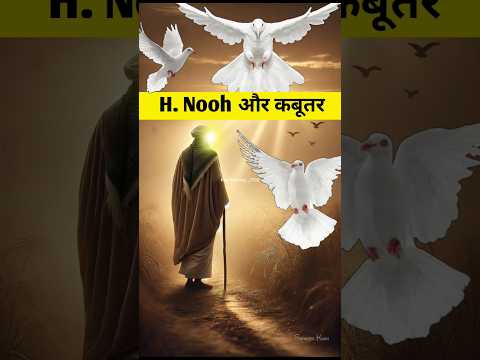 👉🕊️आख़िर कबूतर का पैर लाल क्यों है#new#shorts#viral#islamic #histroy #youtube #shorts