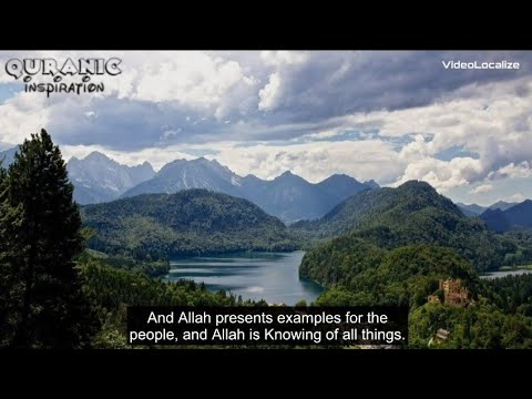 Maghrib prayer || Ismail Annuri || Surah An-Nur (35-38) || Surah Al-Hujurat (12-13) || Best voice