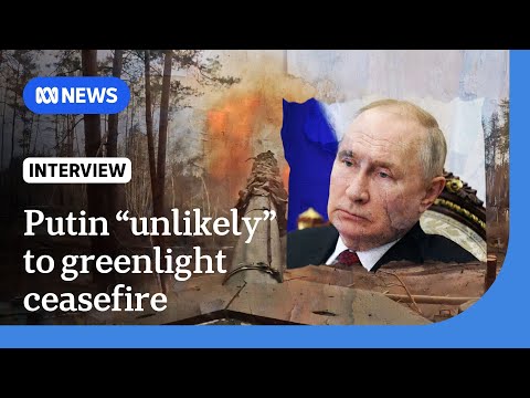 Russia's Vladimir Putin under pressure to accept Ukraine ceasefire deal | The World | ABC NEWS