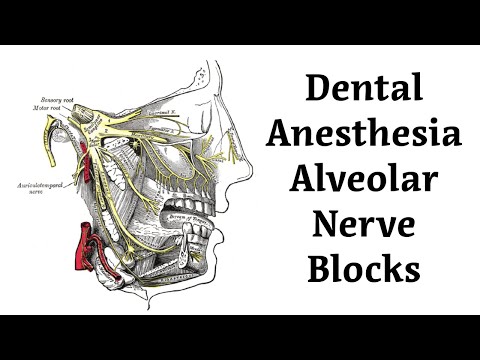 The Alveolar Nerve Blocks for Dental Anesthesia Tutorial