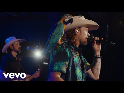 Brian Kelley - Parrot On My Shoulder (Surf Post Sessions Live)