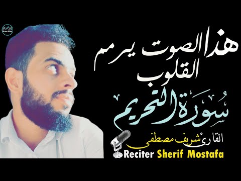 شريف مصطفى سورة التحريم | الصوت الذي يرمم القلوب😍Surah At Tahrim