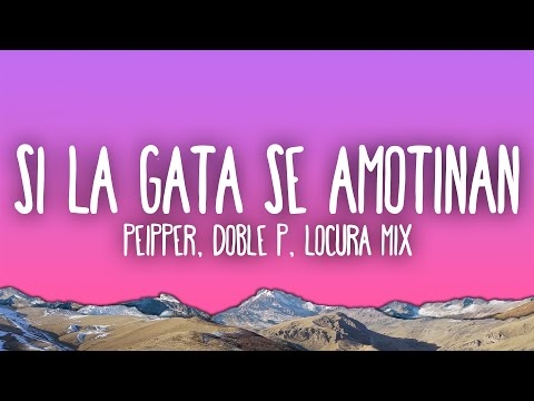 Si La Gata Se Amotinan - Peipper, Doble P, Locura Mix