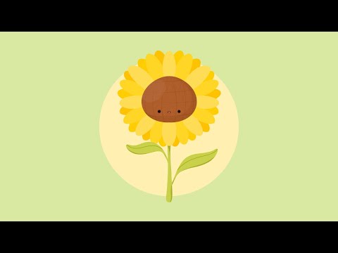 sunflower | royalty free vlog music | prod. by stream cafe