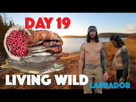 Solo Survival | Struggling To Survive On Wild Game Ep-4