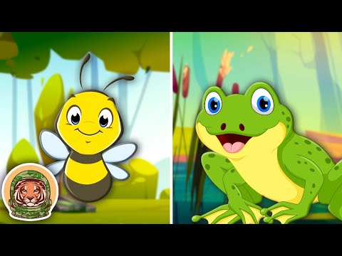 Learn About Animals That Are Important To Human Survival! | Animal Songs For Kids | KLT WILD