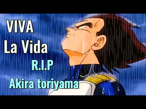 Dragon Ball Z | Goku and Vegeta | Viva La Vida [AMV]