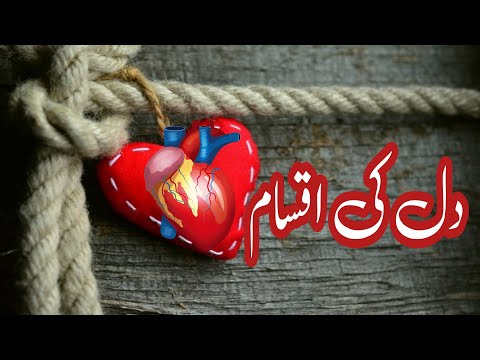 Dil ki iqsaam |Dil kitni qism ka hai دل کی اقسام |#dil  #islam #اسلام  #इसलाम  #اردو #islamicvideo