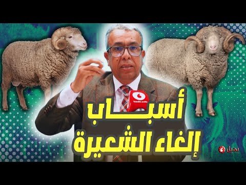 عيد الأضحى بين الظروف الطارئة والقوة القاهرة…ردا على شيخ مصري