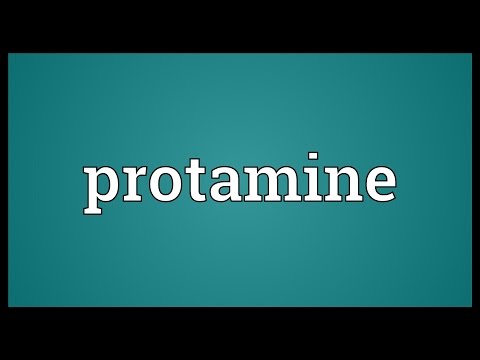 Protamine Meaning