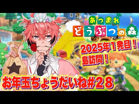 【あつまれどうぶつの森】リスナー島に訪問！お正月に不用品回収きたよー！＃２８【にじさんじ / 赤城ウェン】