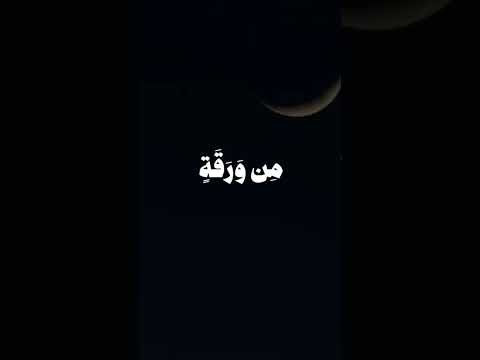 سورة الأنعام، الآية 59 🌒