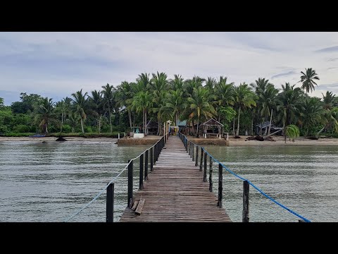 Drive, Dine and Dive 101 (Cooper's Beach Resort) #Palawan #islandlife #Beach #Foods  #Music