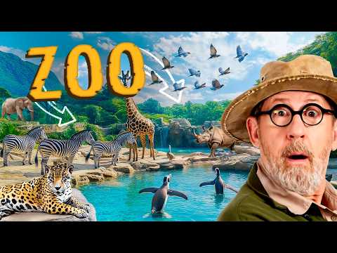 Are Zoos Good or Bad for Animals?