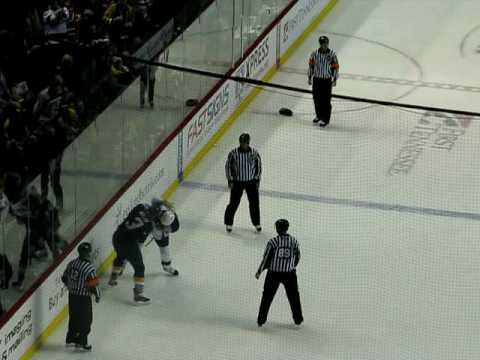 Fight at the Preds Game