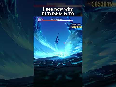 I SEE NOW WHY E1 TRIBBIE IS T0