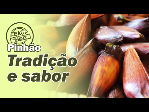 Pinhão: Tradição e Sabor #BaúCGRural