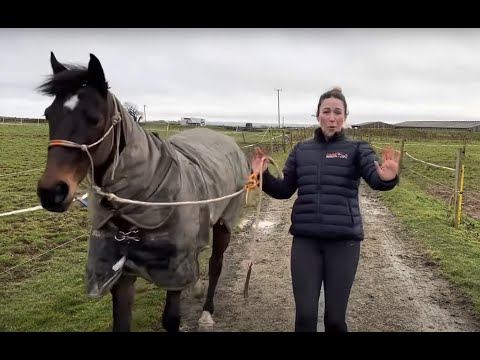 Charlotte's shenanigans! A horse mum's vlog