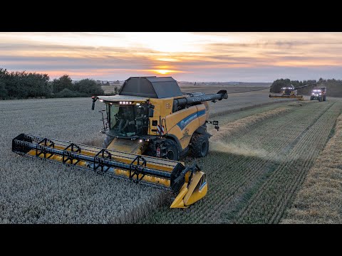 Harvesting with 2x NEW HOLLAND CX8.80 combine harvesters | JOHN DEERE 6215R & PERARD X-Flow 19