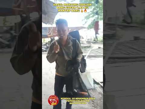 GACOR! BANG GOFAR BAWA PULANG IKAN 4.56 KG | PEMANCINGAN EMA #fy #fyp #fypシ゚viral