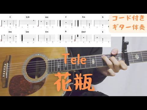 【ギターコード付き】Tele/花瓶【アコギ弾いてみた】