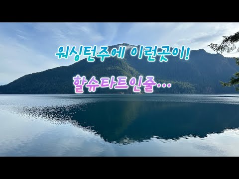 [ENG]🇺🇸새해맞이 여행 2편. 걷는게 제일 쉬웠어요! The Second Part of the Getaway to WA