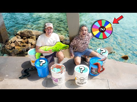 Catching EXOTIC MORAY EELS & FISH In BEACH TIDE POOL ROCKS! (Spin the Wheel Bait Challenge)